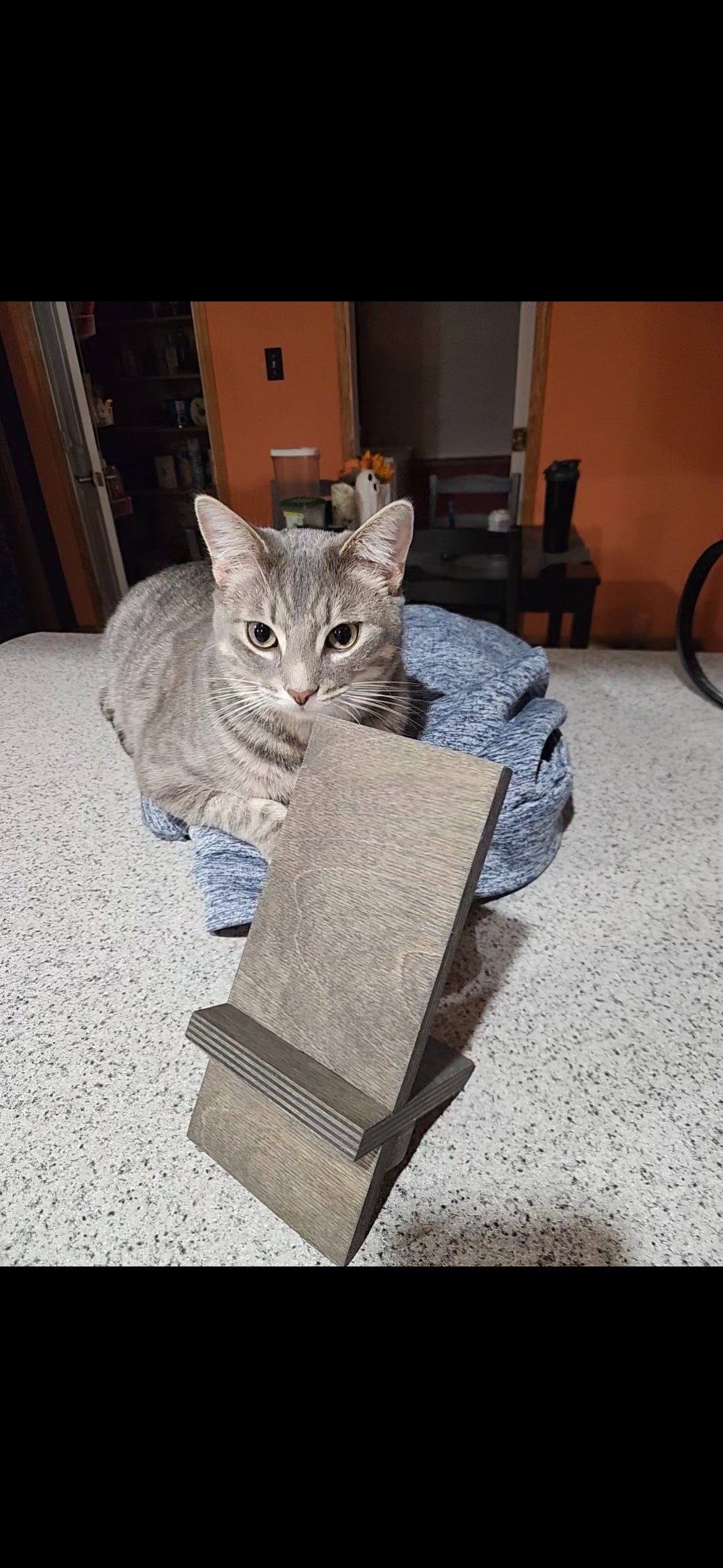 Phone / Tablet Holder Wooden Birch Handmade